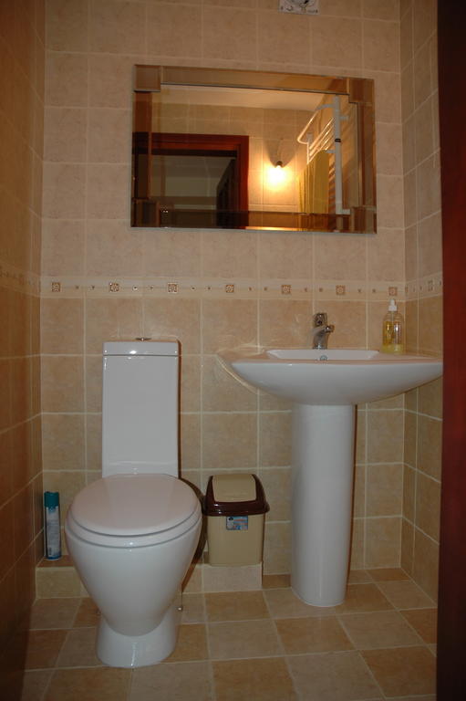 Apartment For Rent On Deribasovskaya Street 오데사 객실 사진